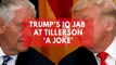 Donald Trump was only 'joking' about Tillerson's IQ, says White House