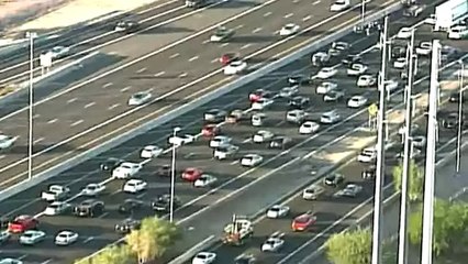 Amazing Puppy Rescue on Busy Freeway After Car Crash