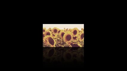 Stranger Things Season 2 Nosebleed Viral Video (2017) Netflix Series