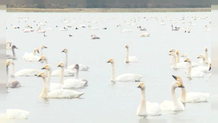 Egyszerre van tél és nyár Japánban