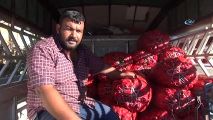 Ev Hanımları Salçalık Biber Alma Telaşında