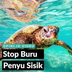 Stop Buru Penyu Sisik