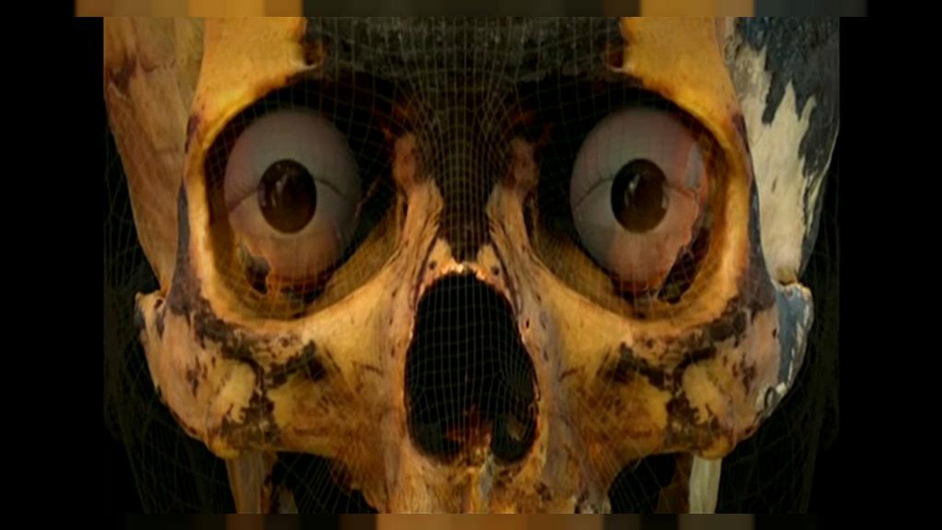 ⁣Мумия. Формат 3D