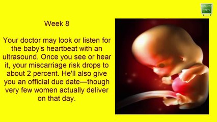 Pregnancy week by week- Fetal development Week 1 to 40 in mothers womb