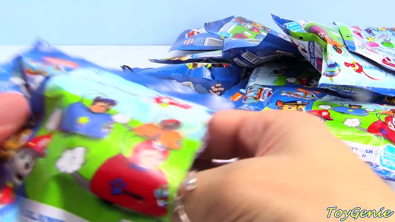 Paw Patrol Calamity Car Blind Bags