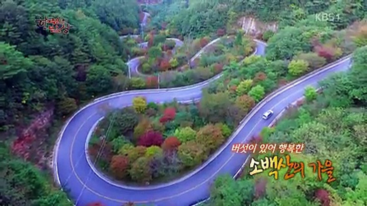 한국인의 밥상.E337.171012