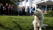 Permesso pagato per assistere il cane