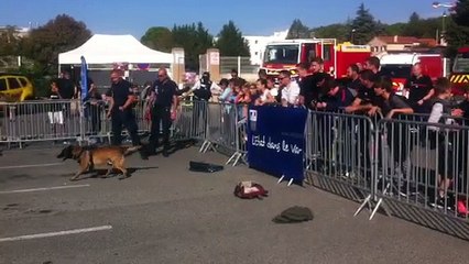 Démonstrations des forces de secours et de sécurité à Draguignan
