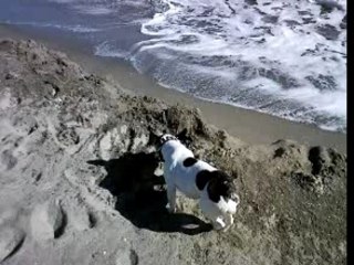 couse contre les vagues...