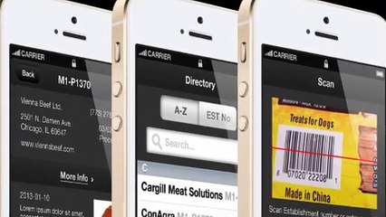 san diego web design