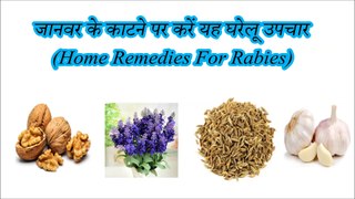 जानवर के काटने पर करें यह घरेलू उपचार (Home Remedies For Rabies)