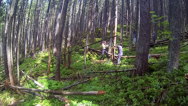 Дом на дереве и жизнь в лесу. Строительство. 3 серия.