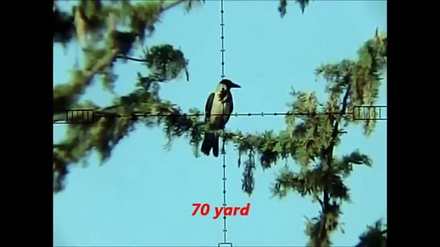 Air rifle crow hunting Air arms xtra fac sl410 22.cal .pest control