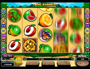 Обзор игрового автомата BIg kahuna snaks - правила и характеристики