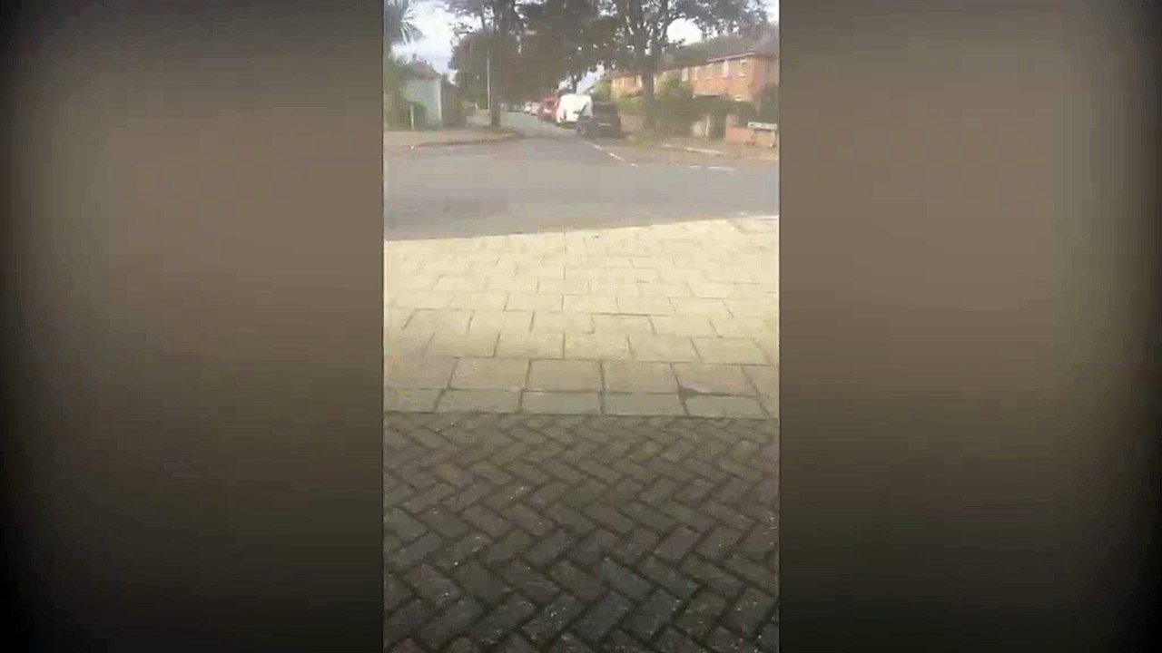 Dog owner fined for dragging puppy on lead down the street - Metro