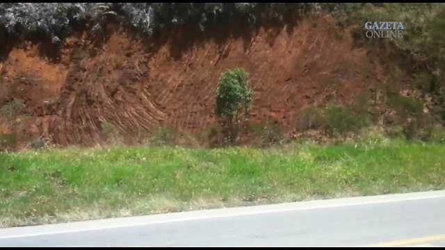 Internauta registra ônibus com fumaça densa na BR-262