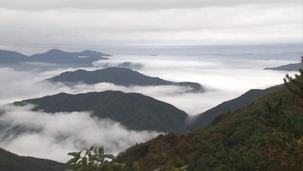 다양한 아름다운 자연 유산 간직한 지리산 / YTN