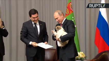 プーチン大統領への誕生日プレゼントは、子犬！