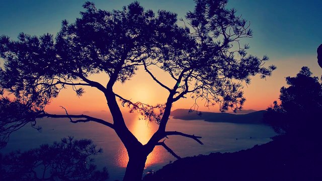 Zafer Taşdan - Kanatları Gümüş Yavru Bir Kuş