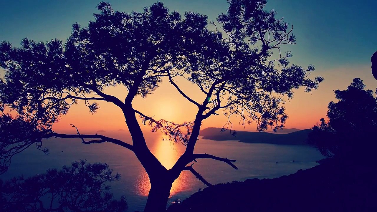 Zafer Taşdan - Kanatları Gümüş Yavru Bir Kuş