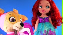 Paw Patrol Skye is a Doctor Help Ariels Sick Cat Kitty Learn Colors for Children | Fizzy Fun Toys