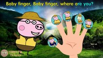 #Peppa Pig #Safari #Finger Family #Nursery Rhymes Lyrics and More