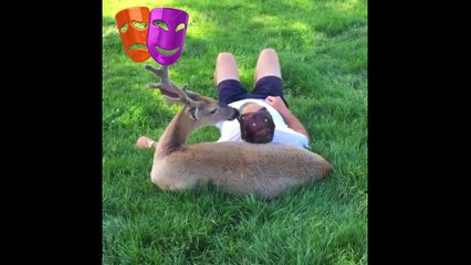 Video de Cuando tu mascota realmente te ama 2017