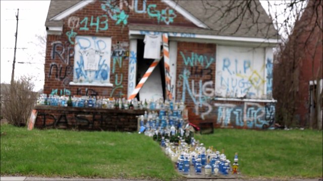 DETROIT'S ABSOLUTE WORST LOOKING STREETS (on the west side)