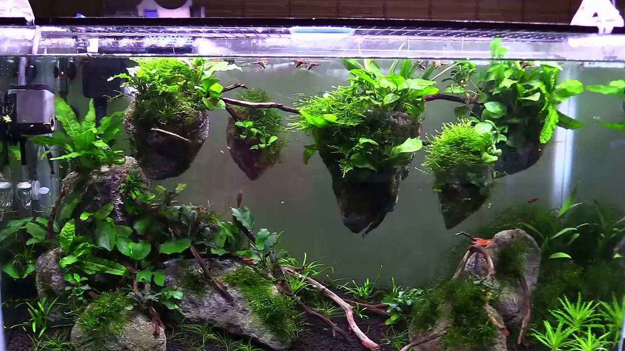 HOW TO: DIY AVATAR AQUARIUM FLOATING ROCKS!