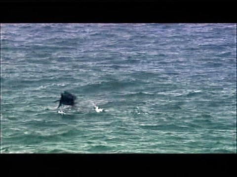 Expeditie Robinson 2006 07