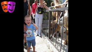 Video de Animales del Zoo reaccionando a niños 2017