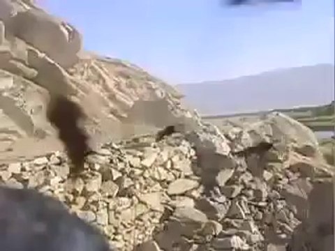 Une explosion détruit un nid de guêpes géant et les met très en colère...