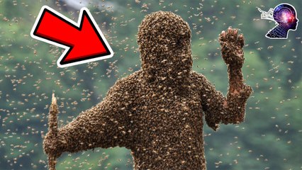 Bal Arısının Gizemi Ve Bilinmeyen Faydaları