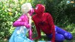 Frozen Elsa & Anna become DOLLS w/ Spiderman & Ironman Superhero real