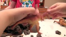 ЧЕЛЛЕНДЖ РАСКОПКИ ДИНОЗАВРОВ В ЖЕЛЕ Видео про динозавров ВИДЕО ДЛЯ ДЕТЕЙ Игрушки динозавры для детей