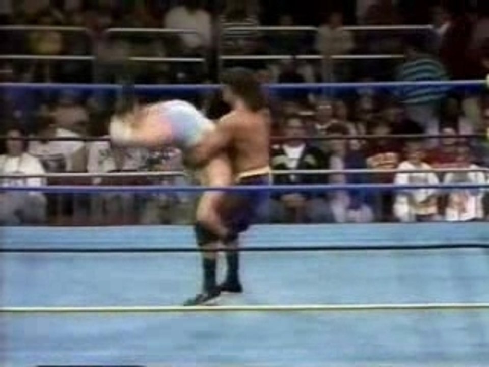 Flamingo VS Allen 2
