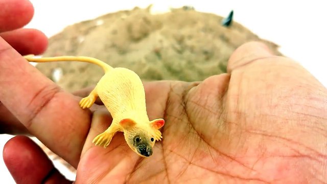 Shark Toy Finding Hidden Arctic Toy ZOO Toob Animals from Sand/Polar Bear,Whale/Sea Animals/kids Fun