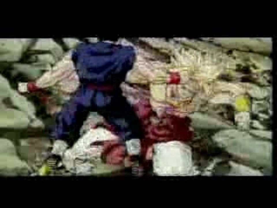 AMV DBZ Bring Me to Life CLIP