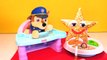 PAW PATROL Feeding Baby Chase Rainbow Gumballs to LEARN COLORS Kids Educational Best Video