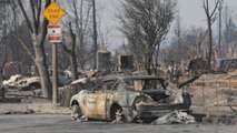 Pequeños avances contra los incendios de California que han dejado 29 muertos