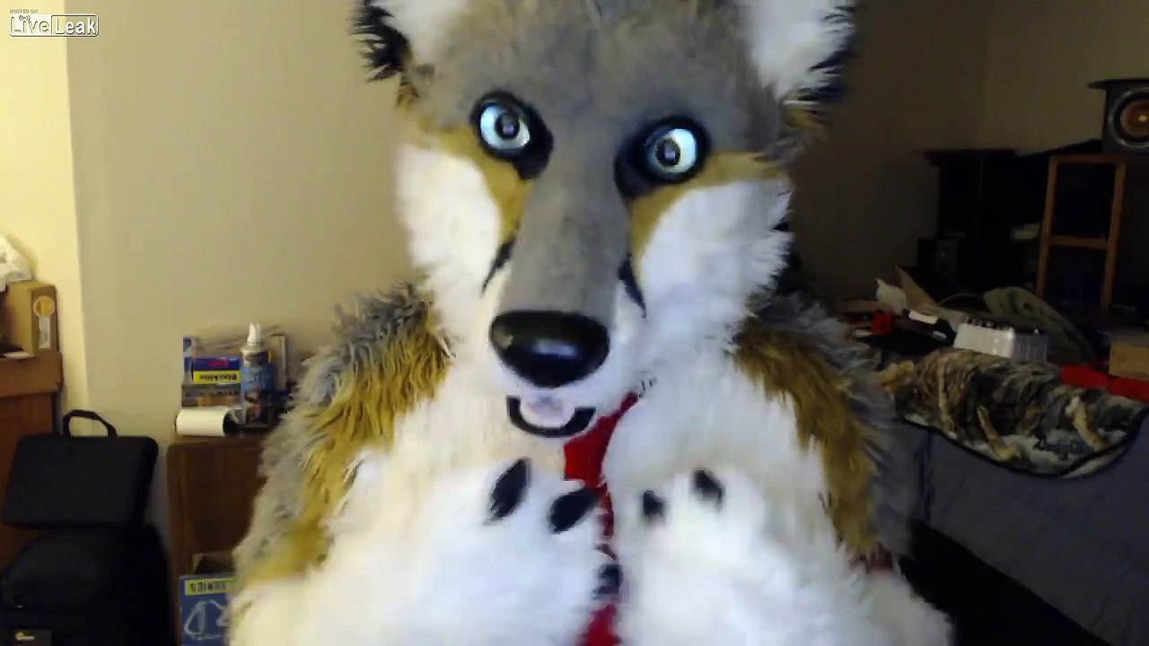 Foxler Nightfire LGBT Pride? (Mirror) Dailymotion Video