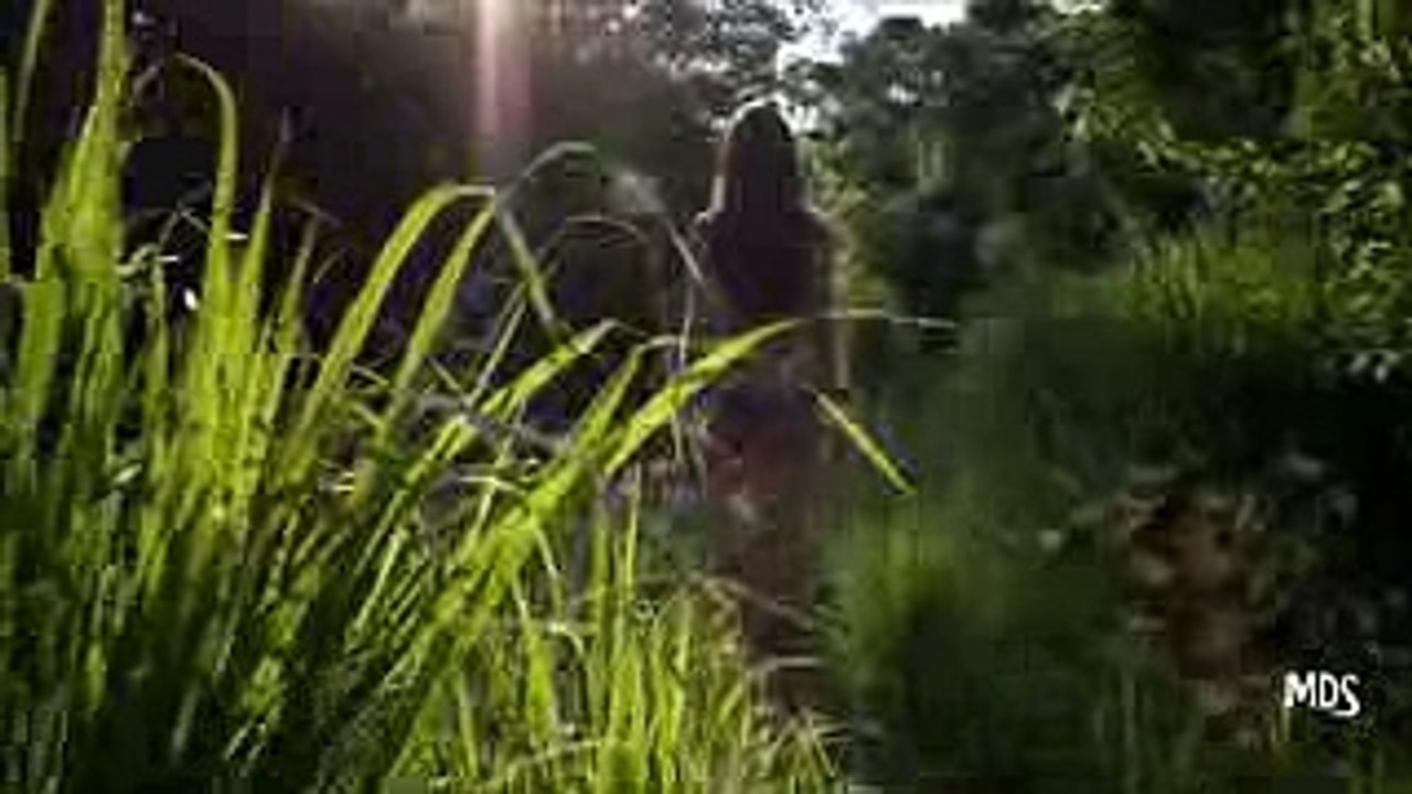 Ahmet Kilic & Stoto feat  Shea Doll  - Good Ones Go (Radio Mix) Video Edit