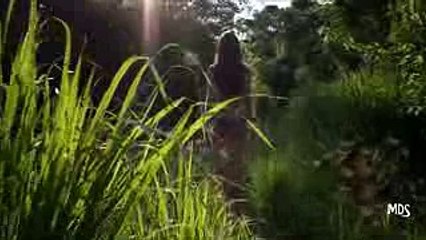 Ahmet Kilic & Stoto feat  Shea Doll  - Good Ones Go (Radio Mix) Video Edit