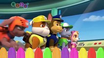 Paw Patrol Chase Mutant İnsan Parmak Aile Tekerlemeler By KidsF