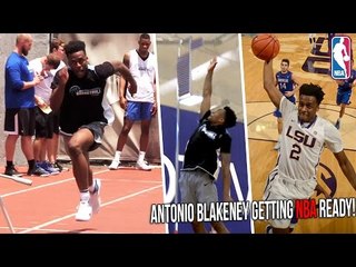 Antonio Blakeney NBA Pre-Draft Workout | LSU Star Tests Vertical, Agility & NBA Skills!