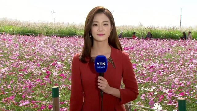 [날씨] 전국 맑고 낮부터 추위 풀려...주말 선선 / YTN