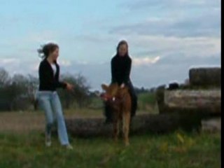 Une Histoire de Vache ...