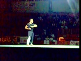 gala des art martiaux a geneve