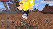 Minecraft PE Türkçe : Takimli Survival Games