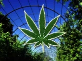 Что может спровоцировать Третью мировую войну? 🔥